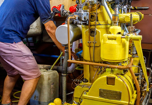 25-08-14 Täggelibock D5V 3083