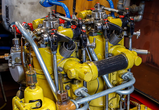 25-08-14 Täggelibock D5V 3087