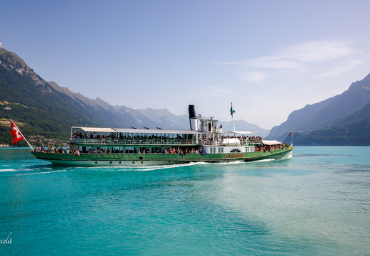 25-08-14 Täggelibock D5V 3102