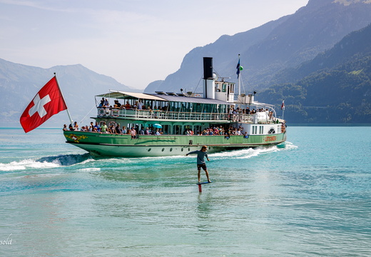 25-08-14 Täggelibock D5V 3106