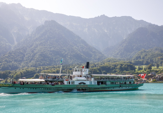 25-08-14 Täggelibock D5V 3111