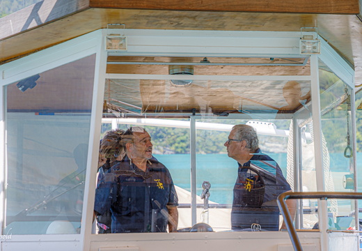 25-08-14 Täggelibock D5V 3124