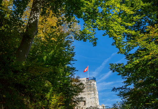 Farnsburg