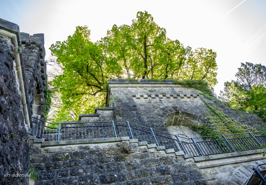 26-04-27 Rapperswil D5V 7540