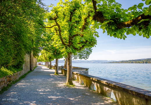 26-04-27 Rapperswil D5V 7544